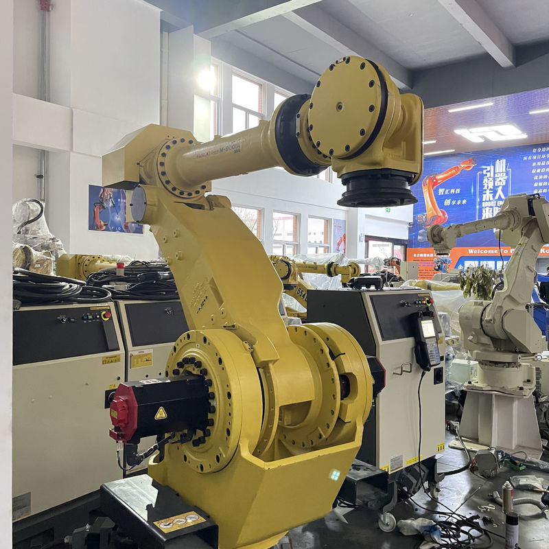 IP54 Livello di protezione standard Il robot di palettizzazione offre una portata variabile tipicamente da 600 mm a 3000 mm Progettato per le applicazioni di palettizzazione e selezione